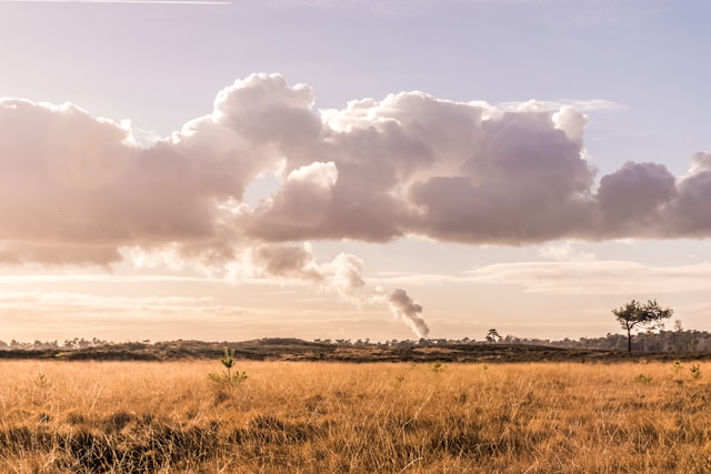 illustration projet ACRA nantes université © daphne-fecheyr-unsplash