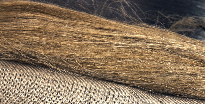 illustration projet MOCOMBIO-MEMPHYS nantes université ©ChamaCHEREAU