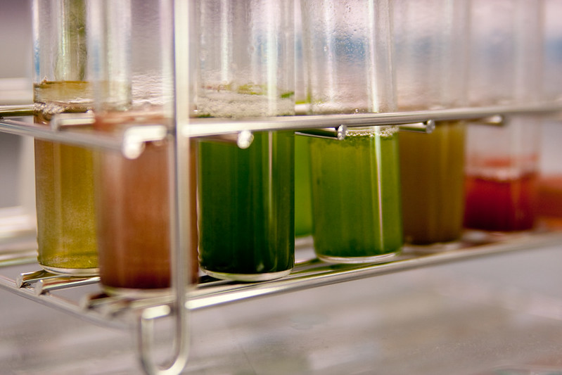 illustration projet WONDER nantes universite © flickr