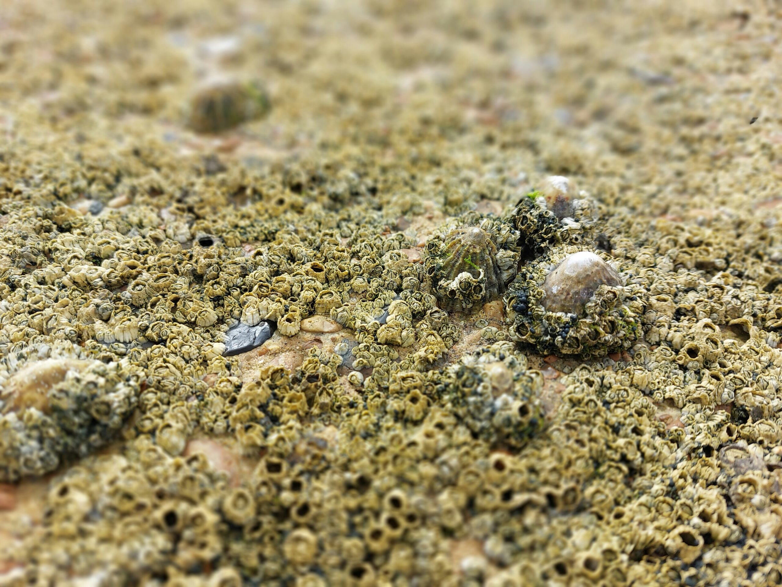 Illustration proket Valorisation des sédiments marins dragués - Nantes Université - © lisa ruby unsplash