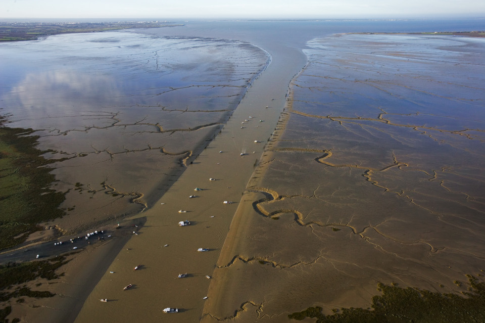 Illustration projet QUALITRO Nantes Universite - baie vasiere Aiguillon © Hellio & Van Ingen