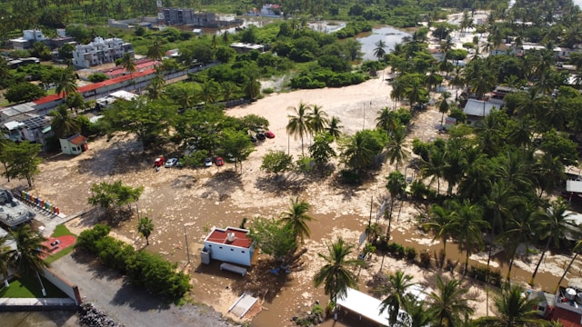 Illustration projet ReLev Nantes Université © andres ayala unsplash