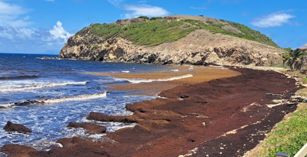 illustration projet charalg